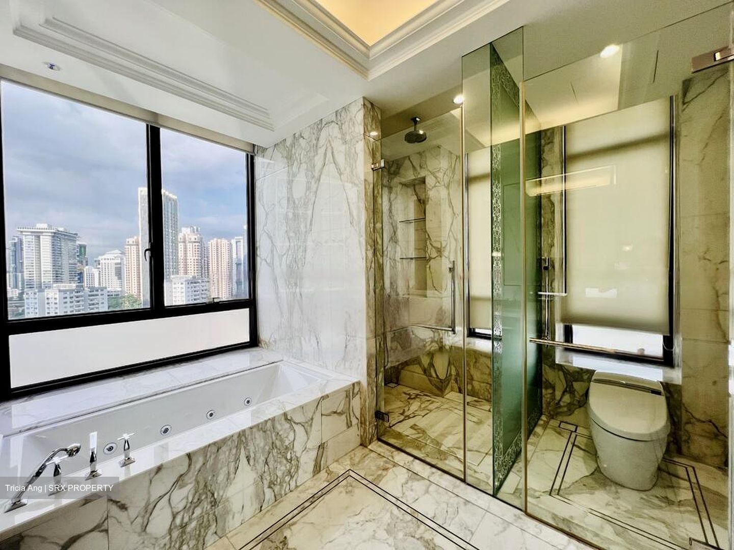 Parkview Eclat (D10), Condominium #476495391